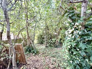 Woodland Garden- click for photo gallery